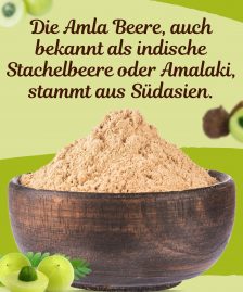 Amla Pulver BIO