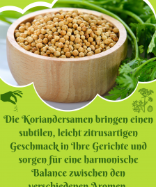 BIO Koriander Samen Ganz