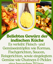 Asafoetida Asant Teufelsdreck