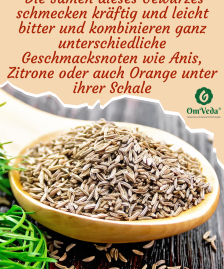 BIO Kreuzkümmel Kumin ganz Kreuzkümmelsamen Kreuzkümmelsaat Gewürz Cumin Seeds Jeera