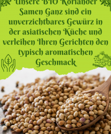 Koriandersamen Koriandersaat