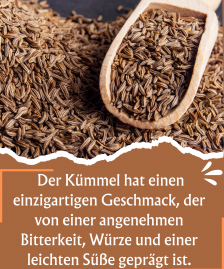 BIO Kümmel Kümmelsamen Kümmelsaat Kümmelkörner Wiesenkümmel | Kochen Backen Brotgewürz Kümmeltee Caraway Seeds