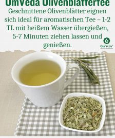 Olivenblätter Tee