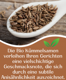 BIO Kümmel Kümmelsamen Kümmelsaat Kümmelkörner Wiesenkümmel | Kochen Backen Brotgewürz Kümmeltee Caraway Seeds