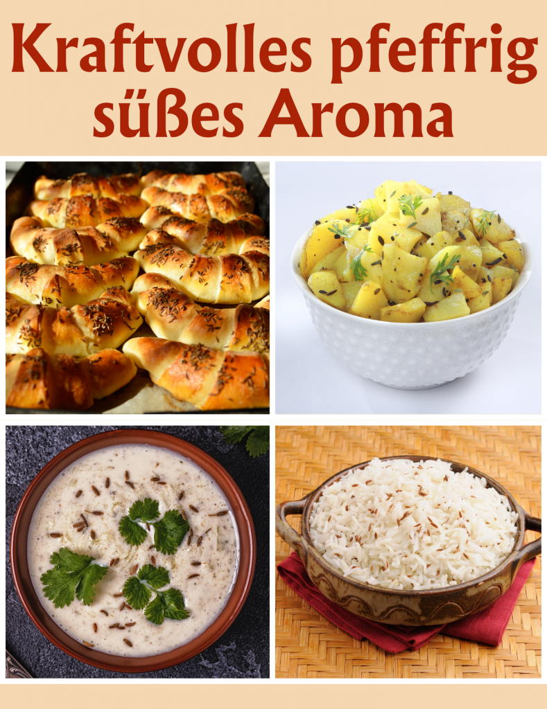 BIO Kreuzkümmel Kumin ganz Kreuzkümmelsamen Kreuzkümmelsaat Gewürz Cumin Seeds Jeera