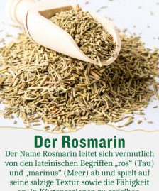 Rosmarinblätter Tee