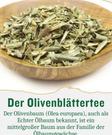 Olivenblätter Tee