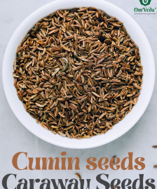 BIO Kümmel Kümmelsamen Kümmelsaat Kümmelkörner Wiesenkümmel | Kochen Backen Brotgewürz Kümmeltee Caraway Seeds