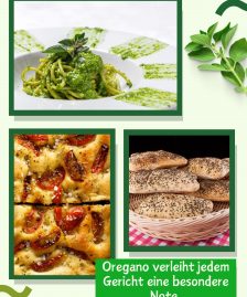 BIO Oregano getrocknet