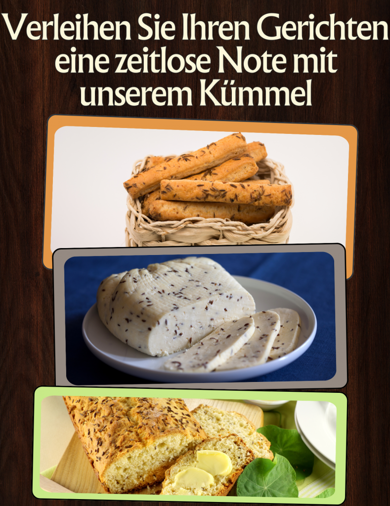 BIO Kümmel Kümmelsamen Kümmelsaat Kümmelkörner Wiesenkümmel | Kochen Backen Brotgewürz Kümmeltee Caraway Seeds