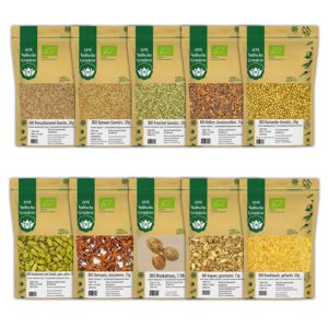 BIO Gewürze 10er STARTER SET 3 Grundausstattung Indische Küche Basics
