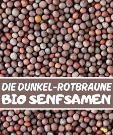 Senfkörner